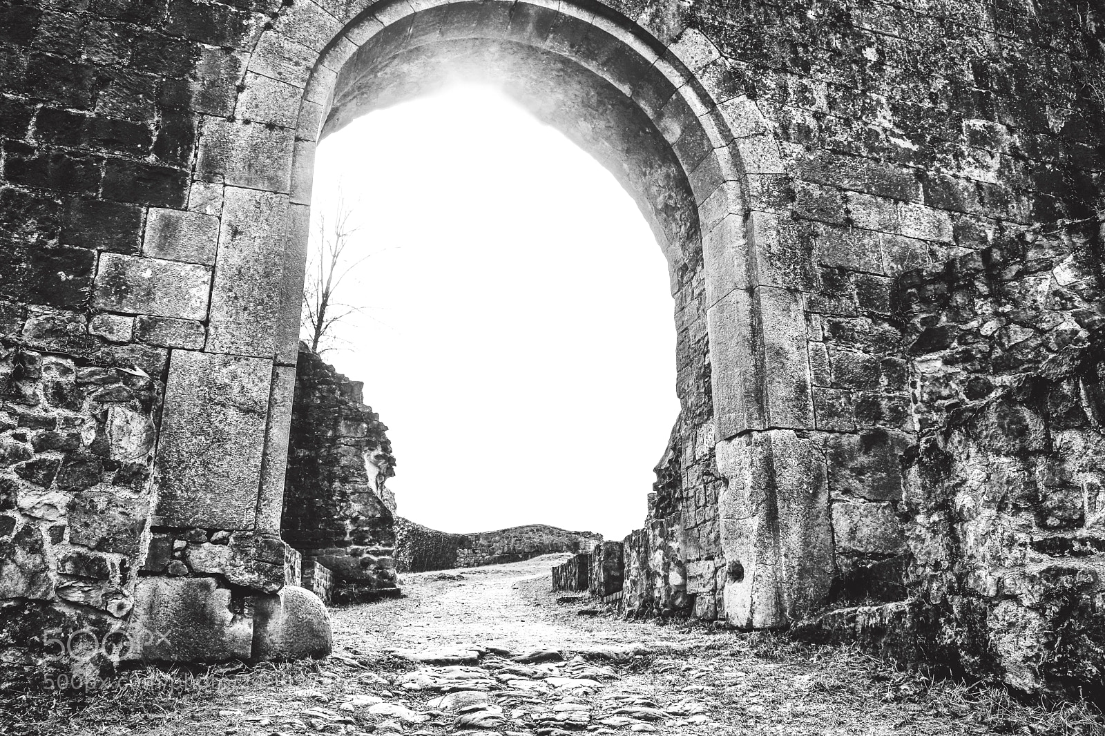 Fujifilm X-T20 sample photo. Old castle portal photography