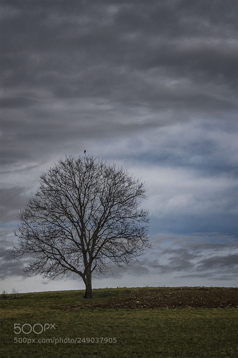 Sony a6300 sample photo. Eningen ua 110318-004 photography
