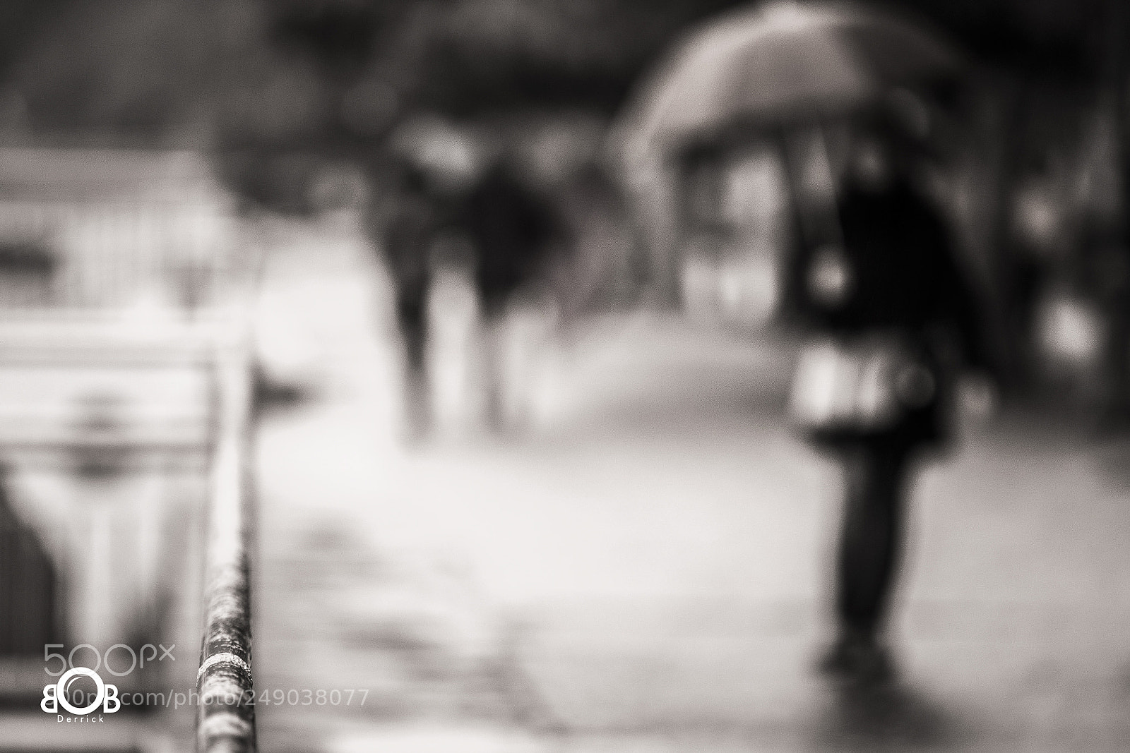 Olympus OM-D E-M1 Mark II sample photo. Raining day. sad day photography