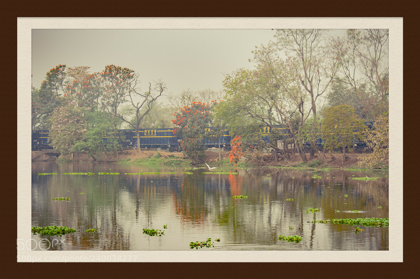 Nikon D5300 sample photo. Santragachi jheel photography