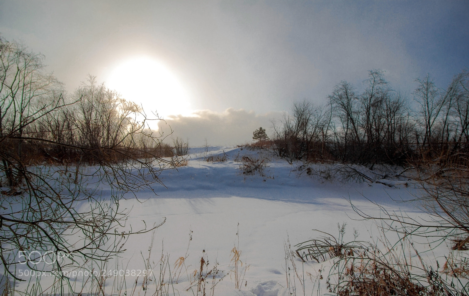 Canon EOS 60D sample photo. *** photography