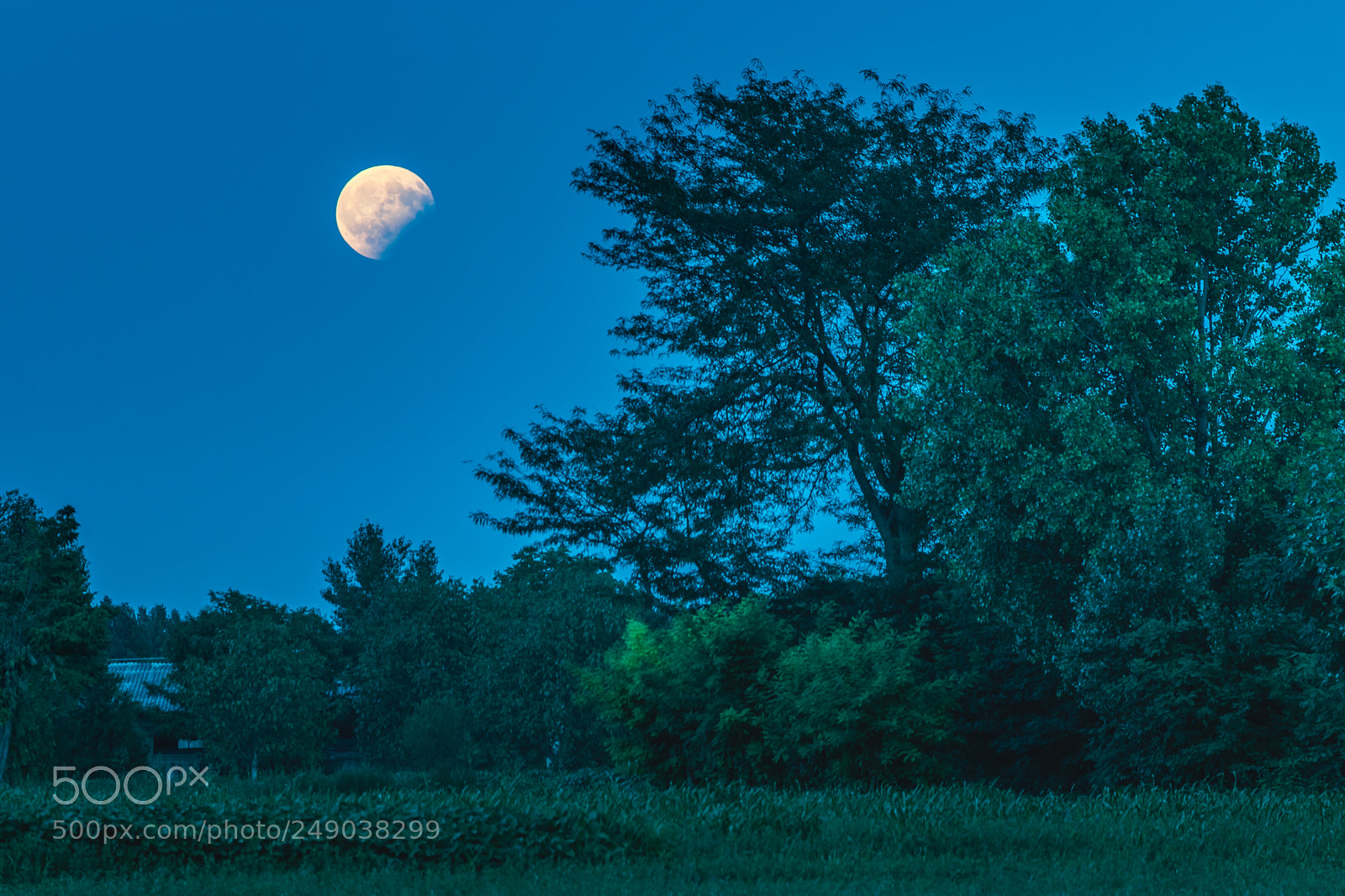 Nikon D5300 sample photo. Lunar eclipse photography