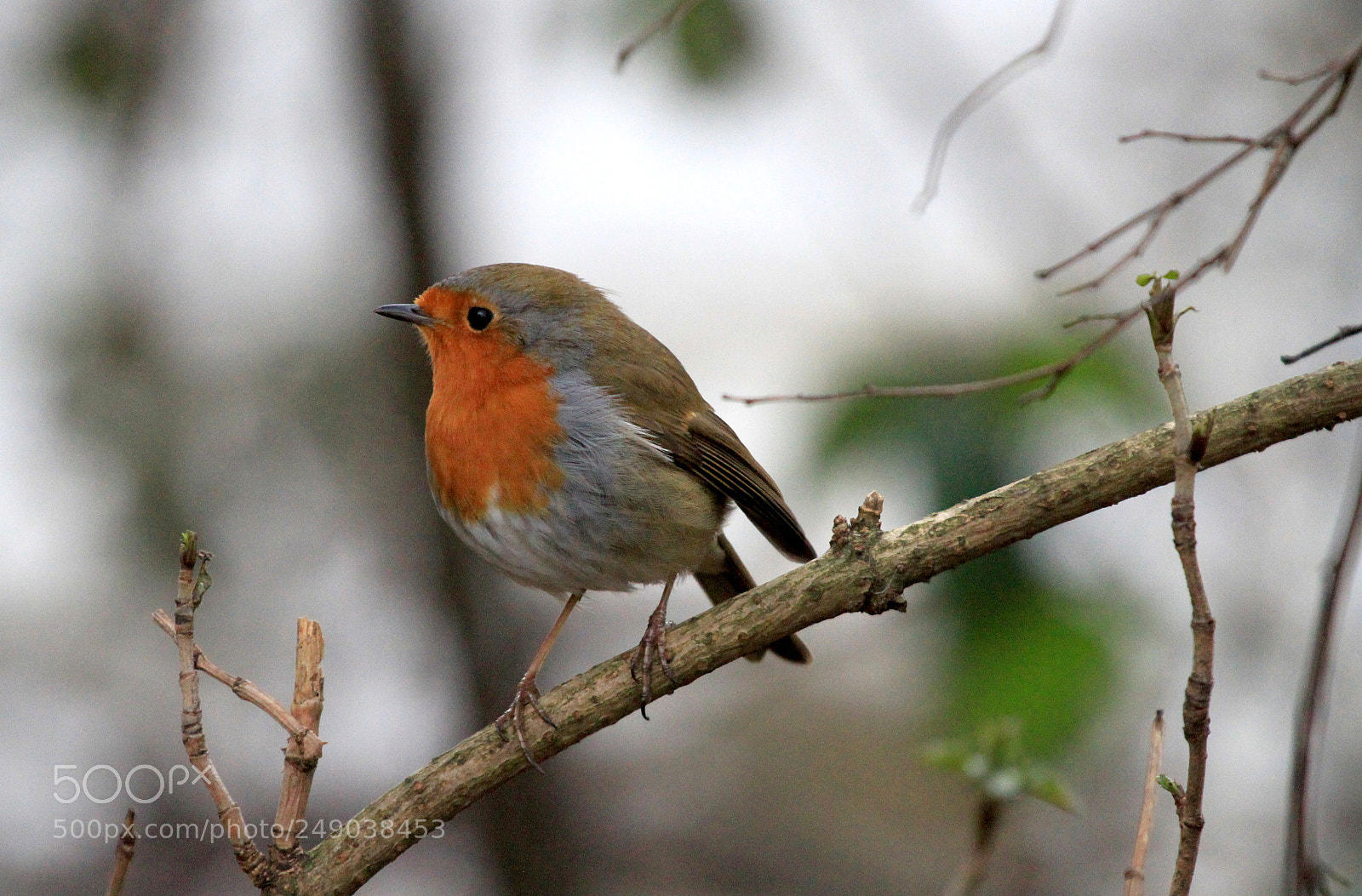 Canon EOS 7D sample photo. :) photography