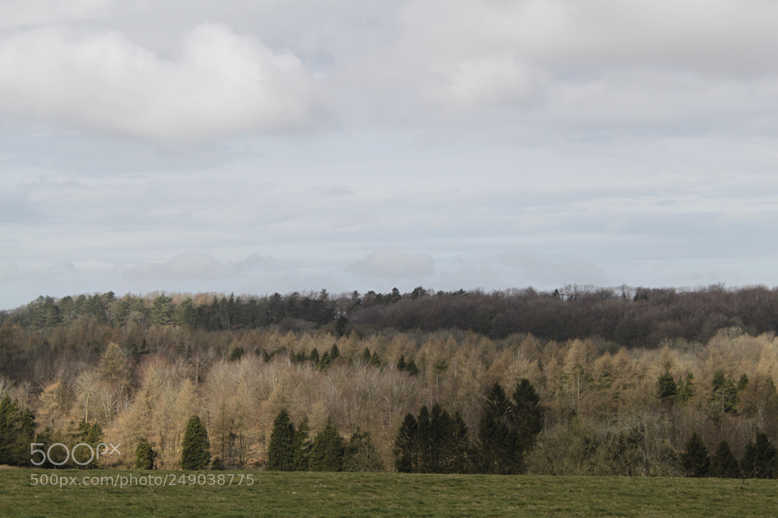 Canon EF-S 18-55mm F3.5-5.6 IS sample photo. Img photography