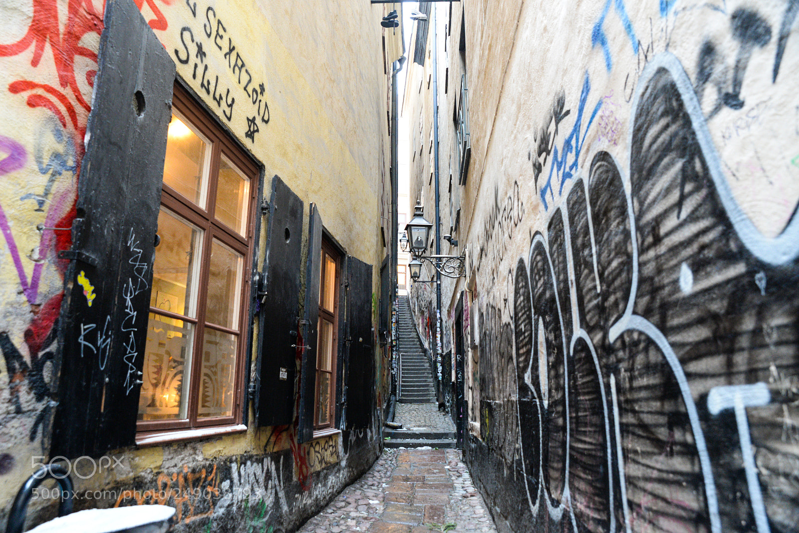Nikon D610 sample photo. N2685_3 photography