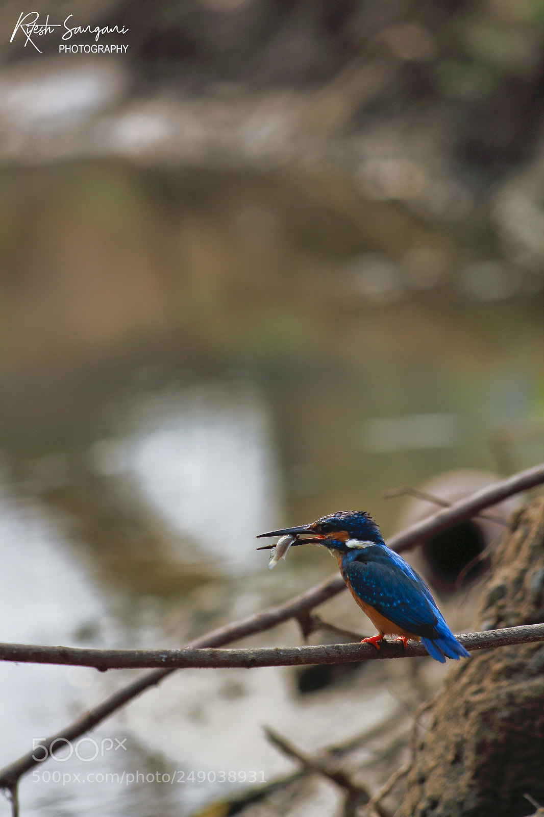 Canon EOS 700D (EOS Rebel T5i / EOS Kiss X7i) sample photo. Morning breakfast.....! photography