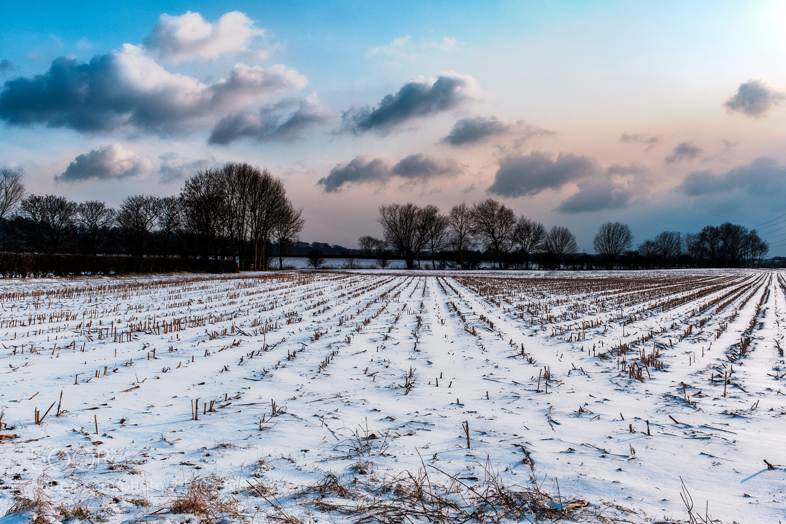Fujifilm X-T2 sample photo. Stoke barldolph photography