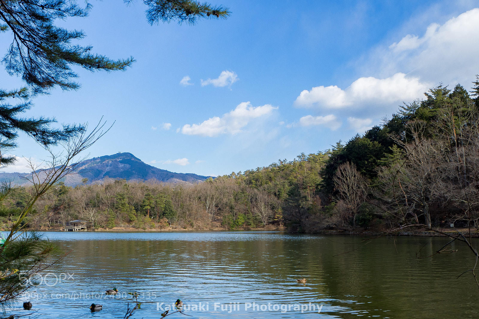 Olympus OM-D E-M10 sample photo. Mt.hiei photography