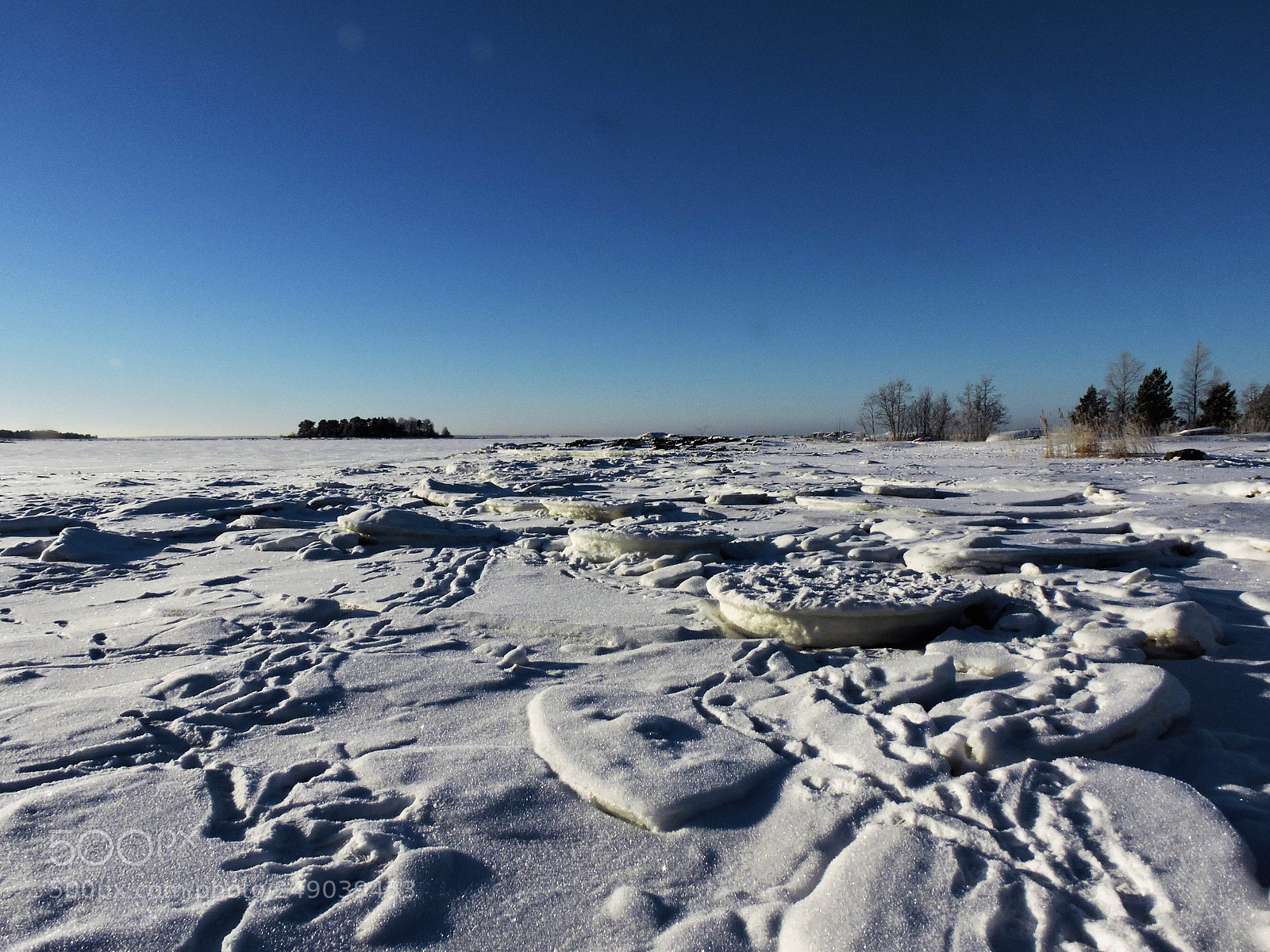 Nikon Coolpix P600 sample photo. From ice plate to photography