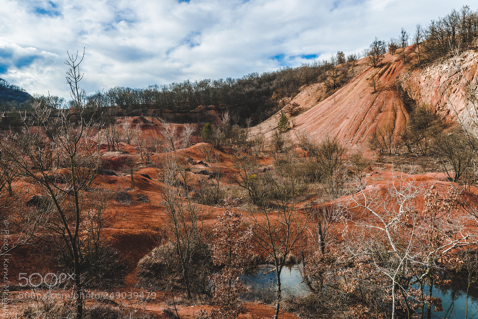 Nikon D610 sample photo. Looks like arizona desert photography
