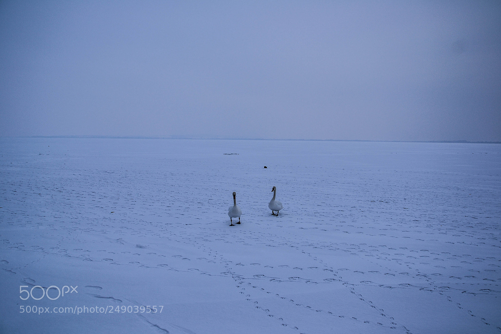 Nikon D3100 sample photo. Balaton-snow-ice photography