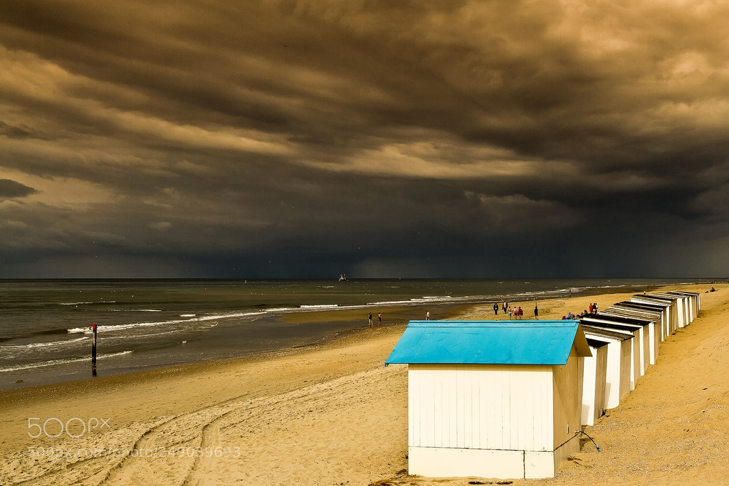 Canon EOS 7D sample photo. Texel photography