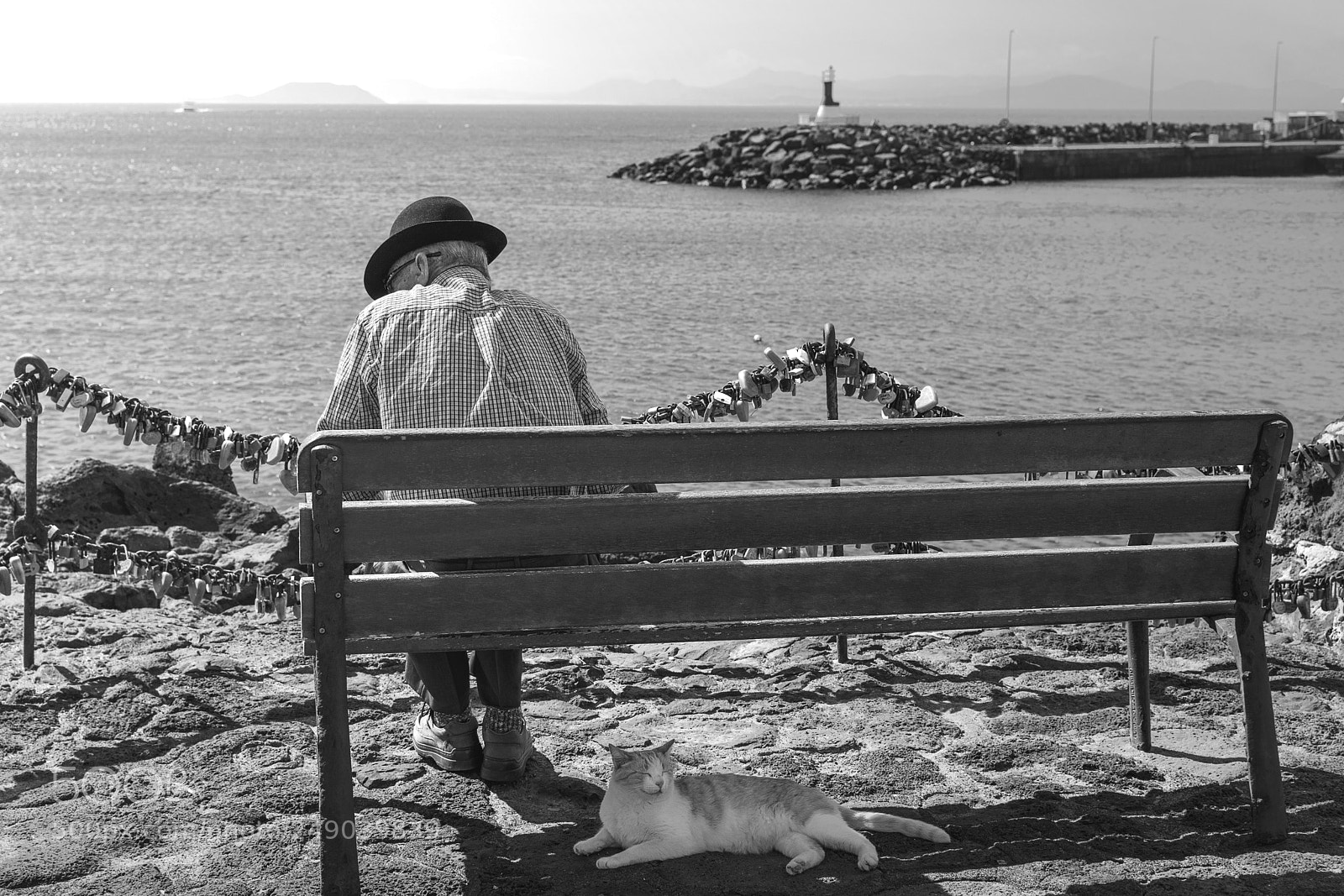 Nikon D7200 sample photo. Untitled photography