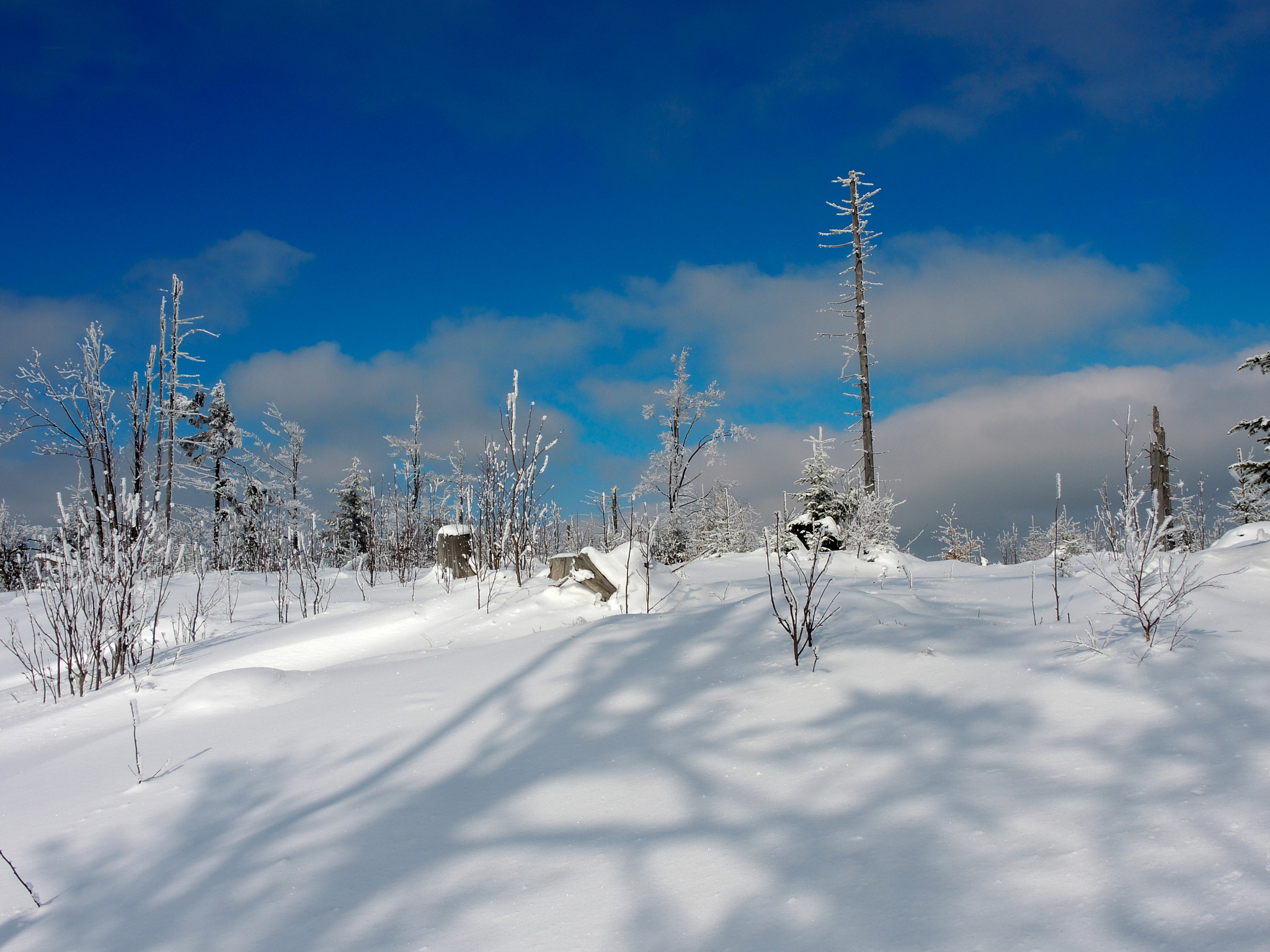 Nikon Coolpix P7800 sample photo. Winter in mountain photography
