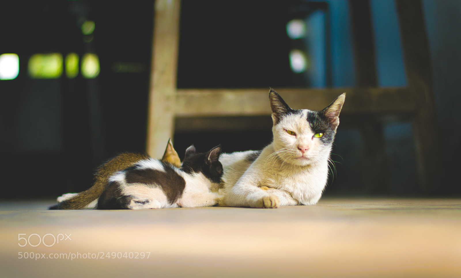 Nikon D5300 sample photo. Untitled photography