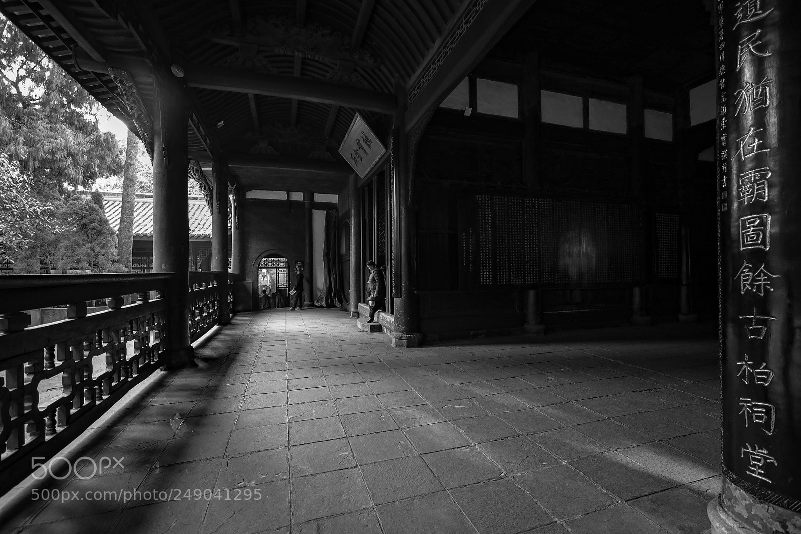 Canon EOS-1D X Mark II sample photo. Untitled photography