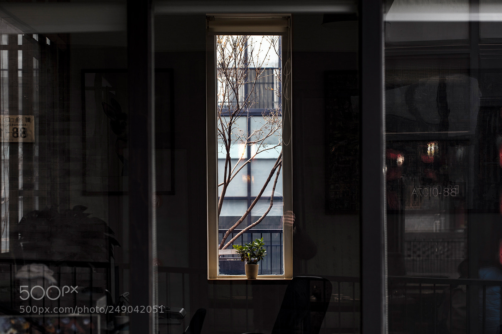 Canon EOS 5DS R sample photo. 100mm 扫街 photography