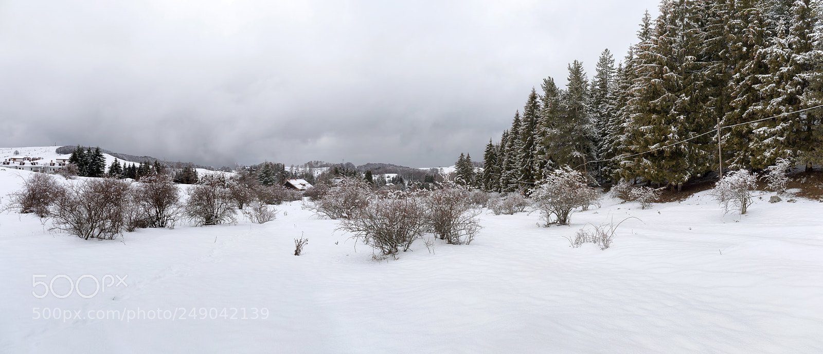 Canon EOS 5D Mark IV sample photo. Snow-covered plain and forest photography