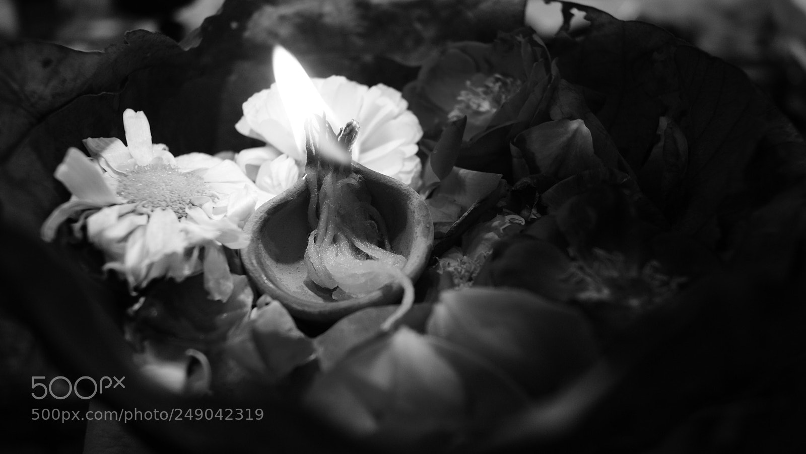 Sony Alpha DSLR-A330 sample photo. Haridwar 2018 photography