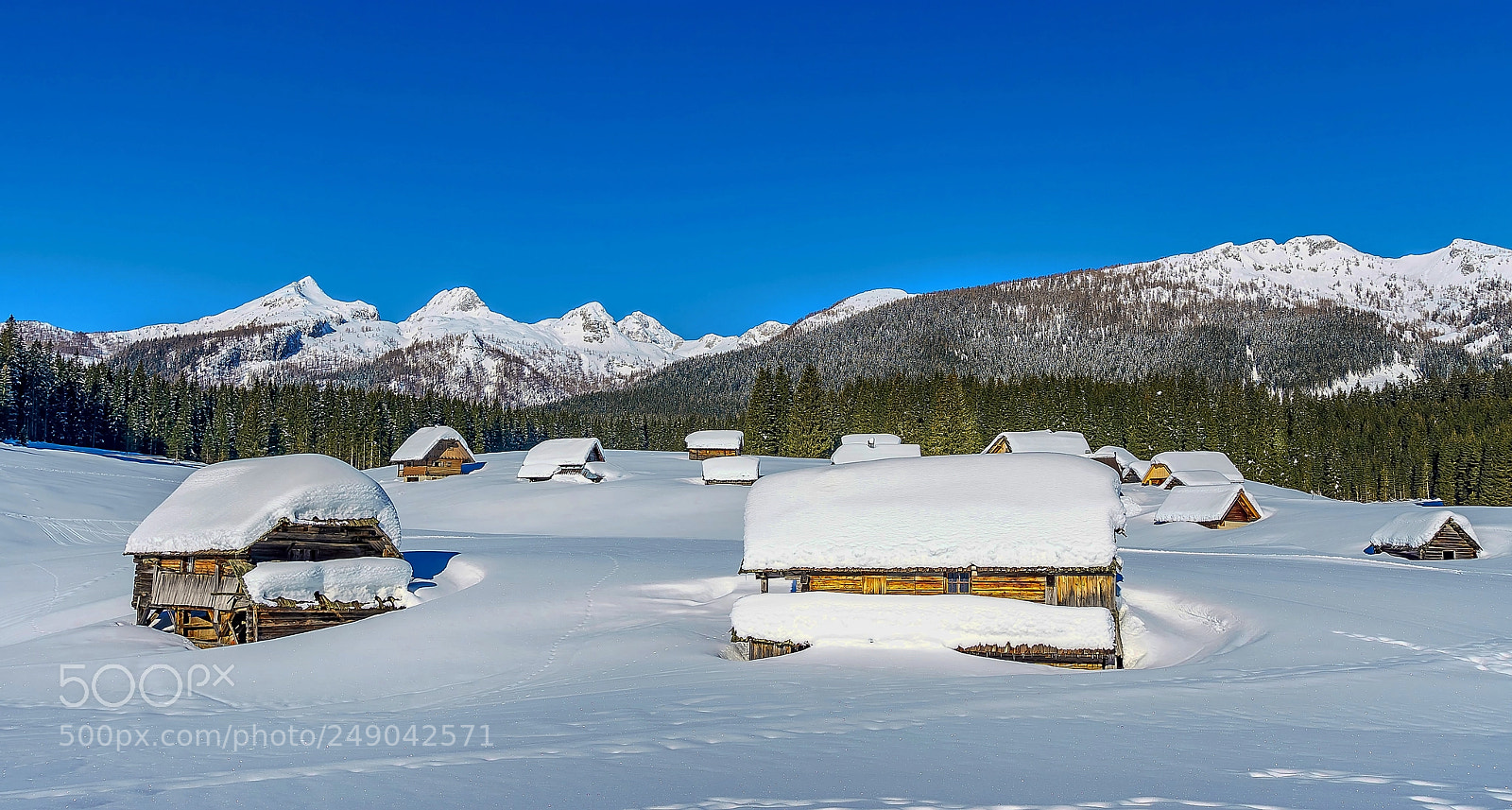 Sony ILCA-77M2 sample photo. Zajavornik meadow photography