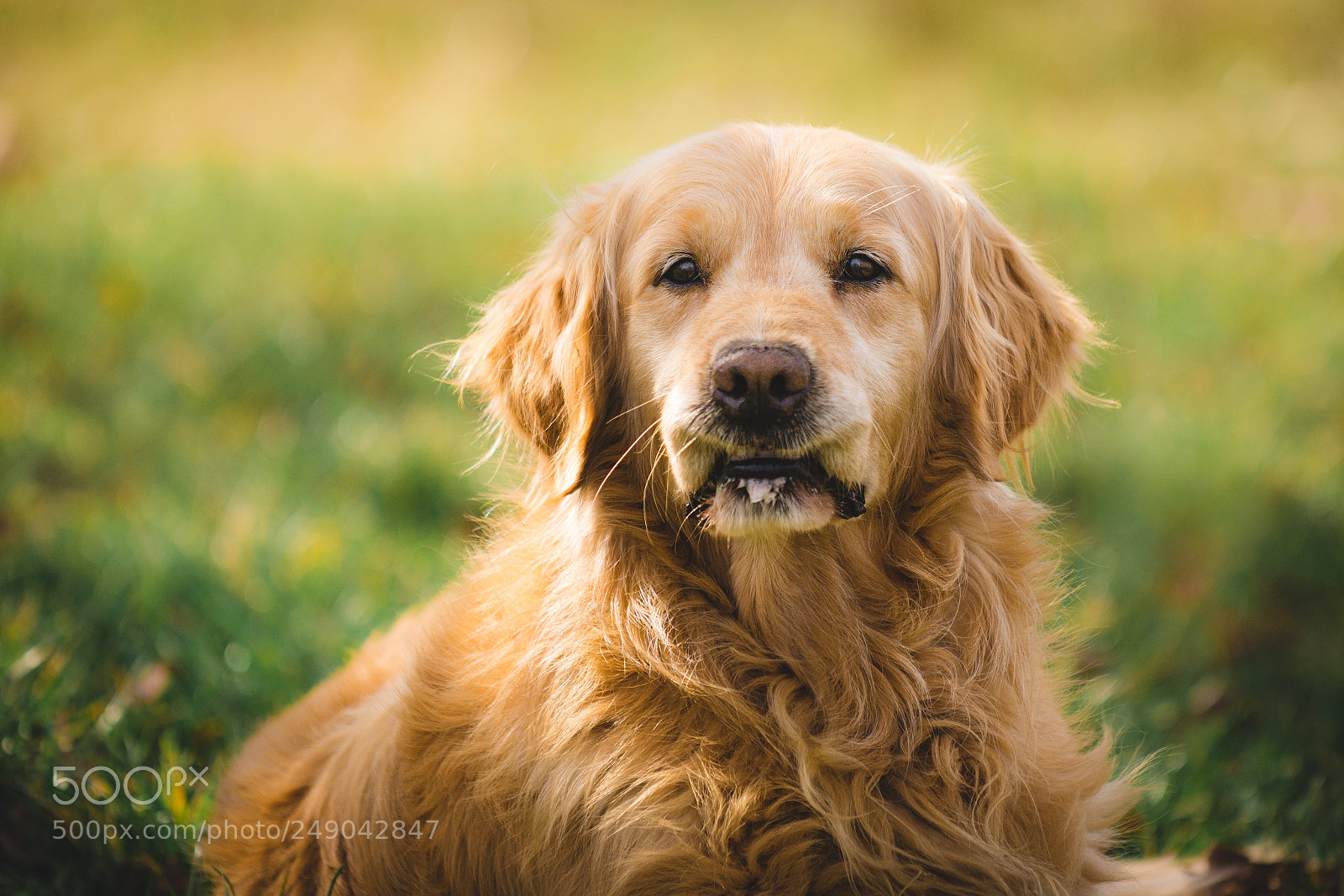 Nikon D7200 sample photo. Oskar photography