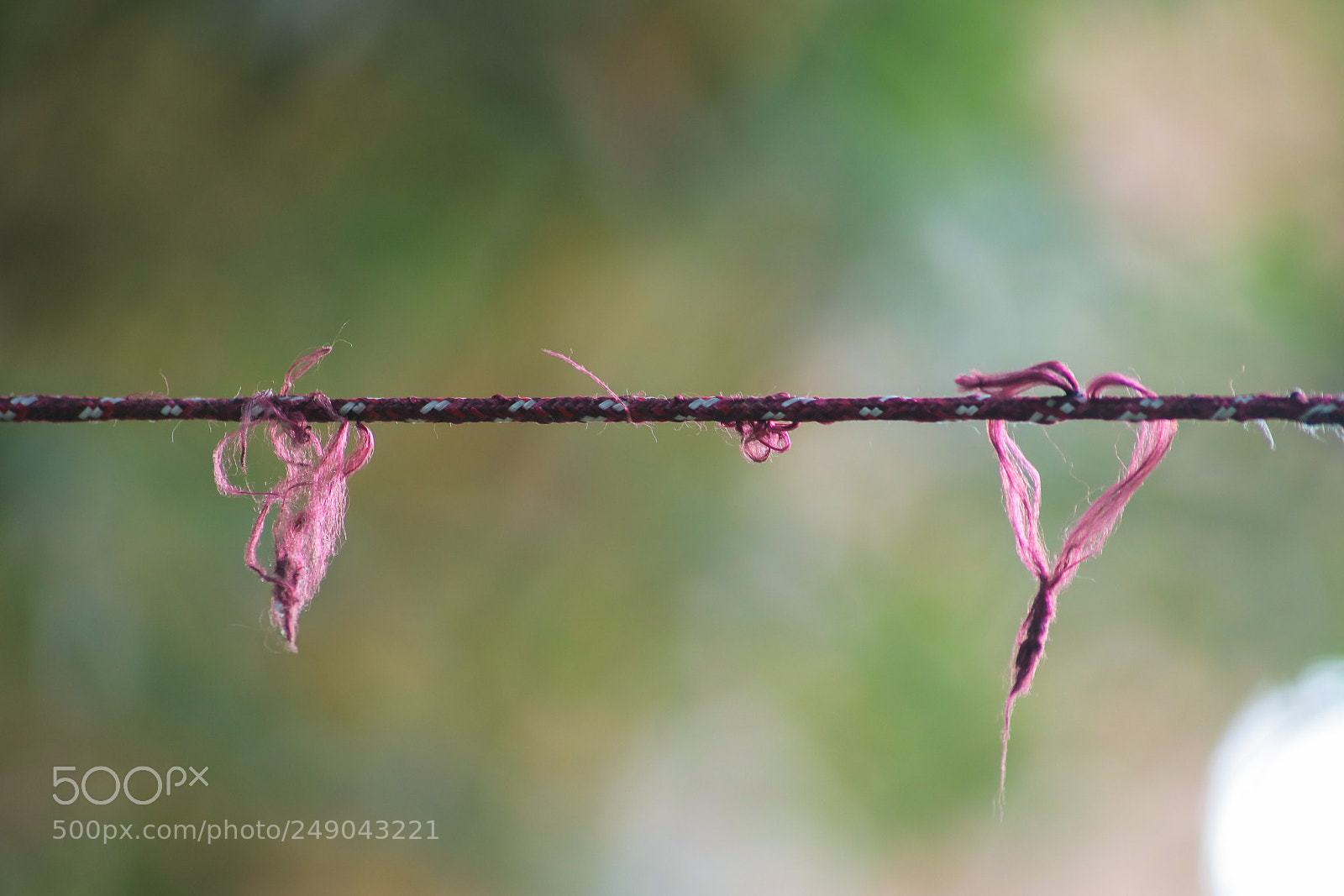 Canon EOS 80D sample photo. Love rope photography