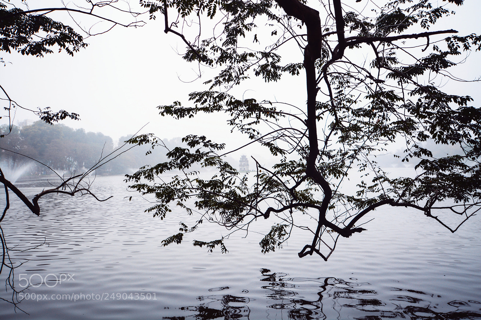Nikon D7100 sample photo. Untitled photography