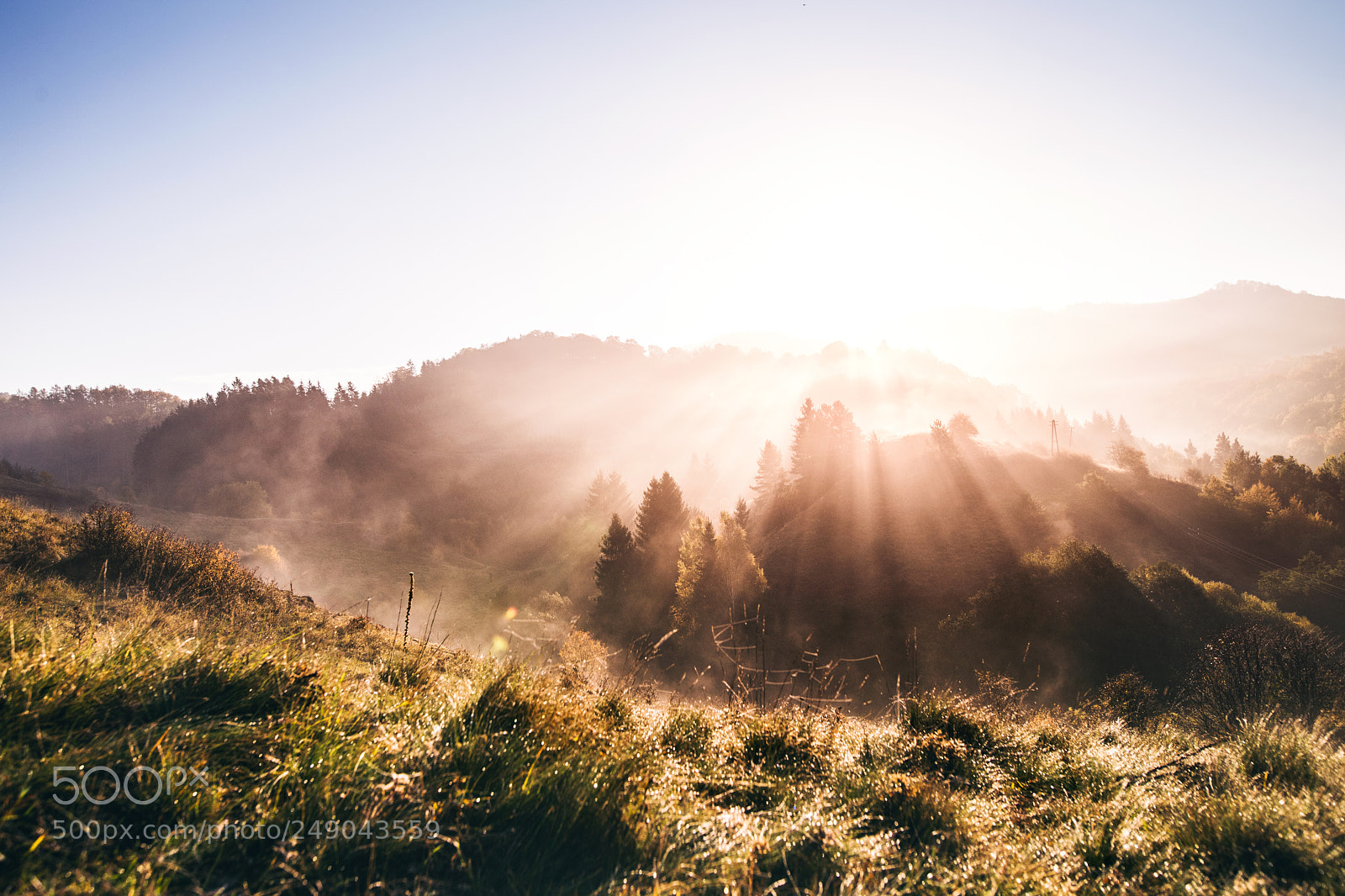 Nikon D5 sample photo. Sunrise in an autumn photography