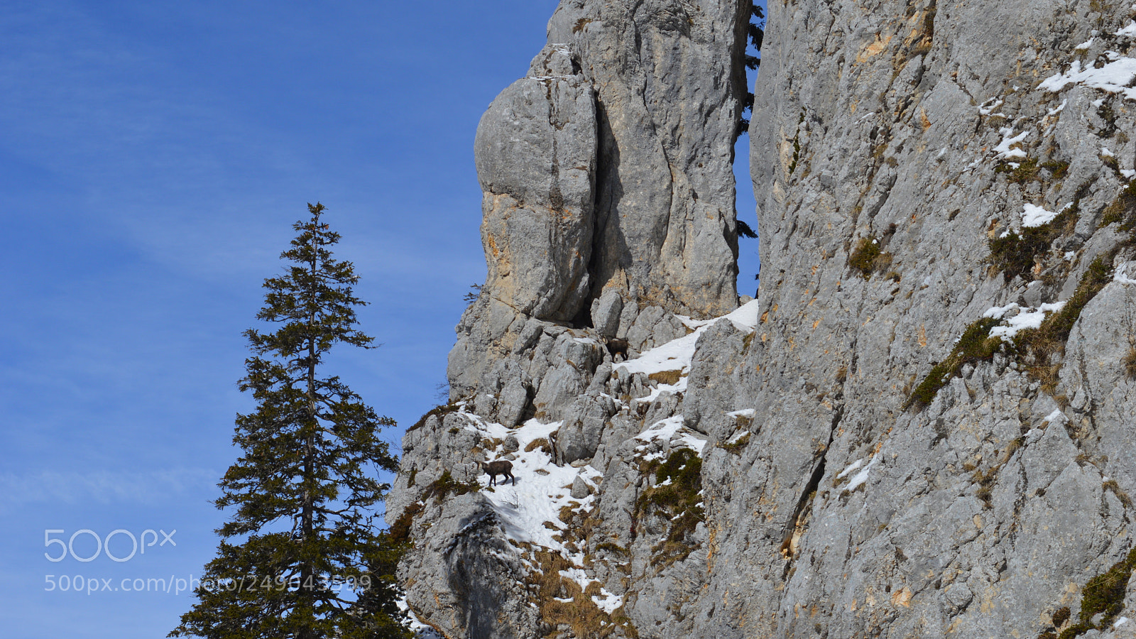 Nikon D3200 sample photo. 121.jpg photography