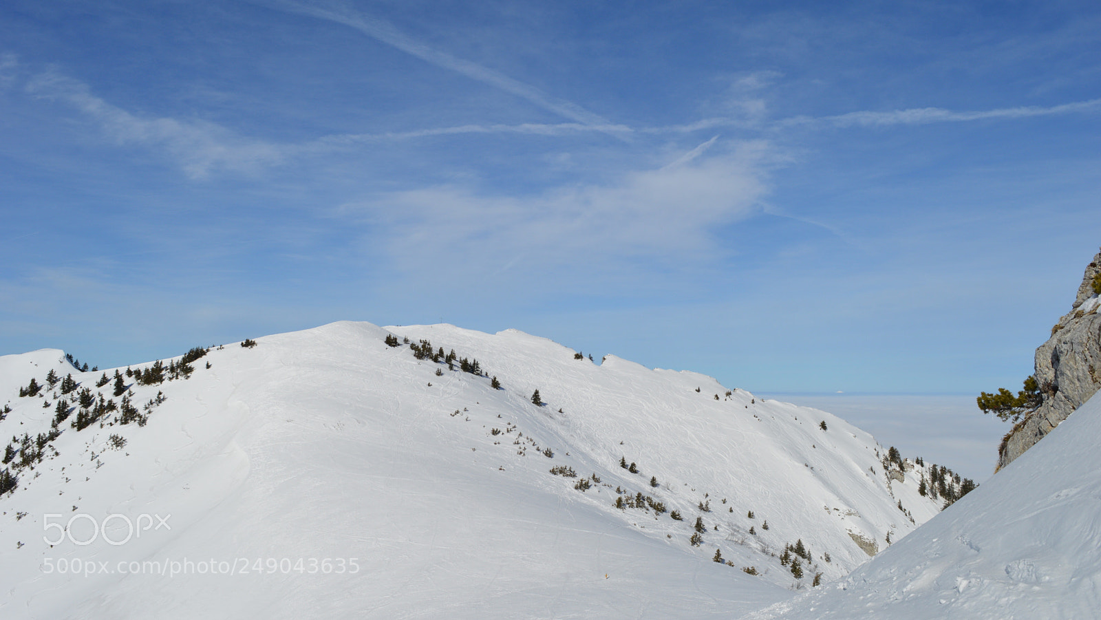 Nikon D3200 sample photo. 42.jpg photography