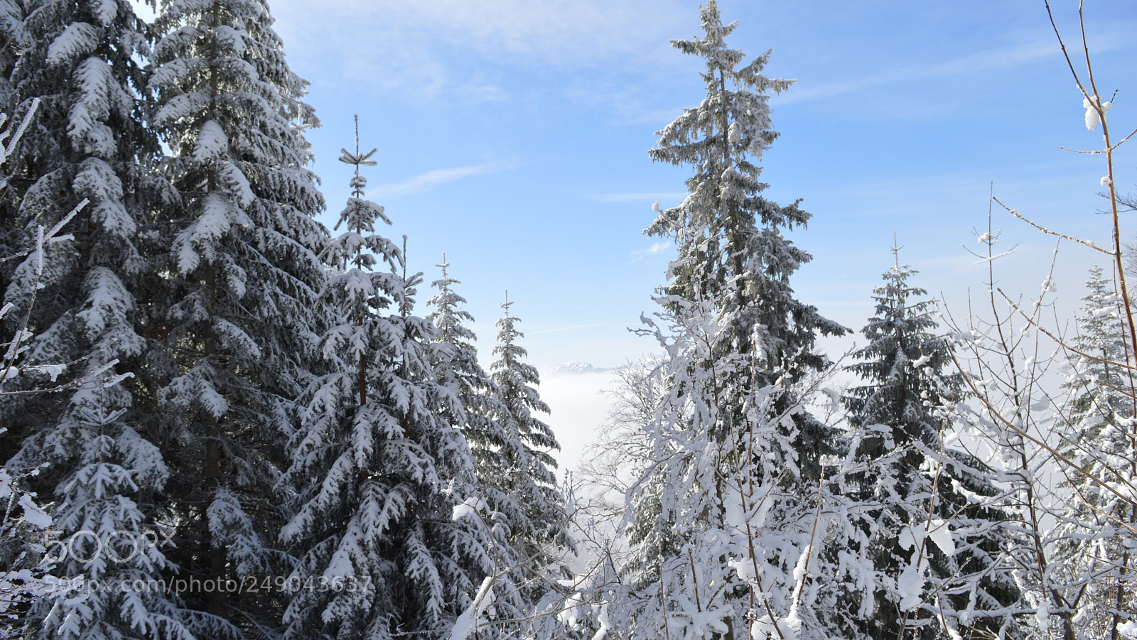 Nikon D3200 sample photo. 130.jpg photography