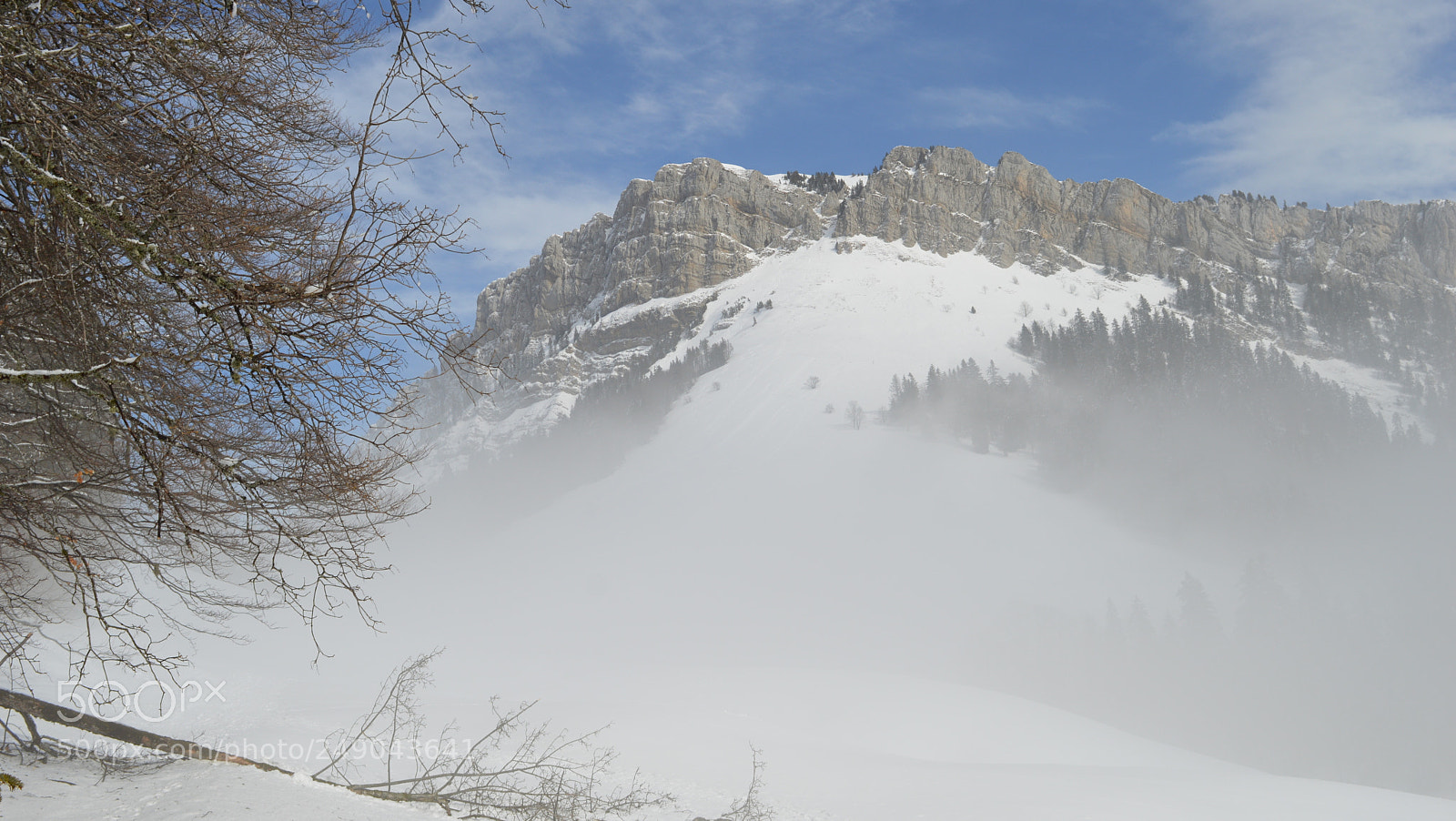Nikon D3200 sample photo. 147.jpg photography