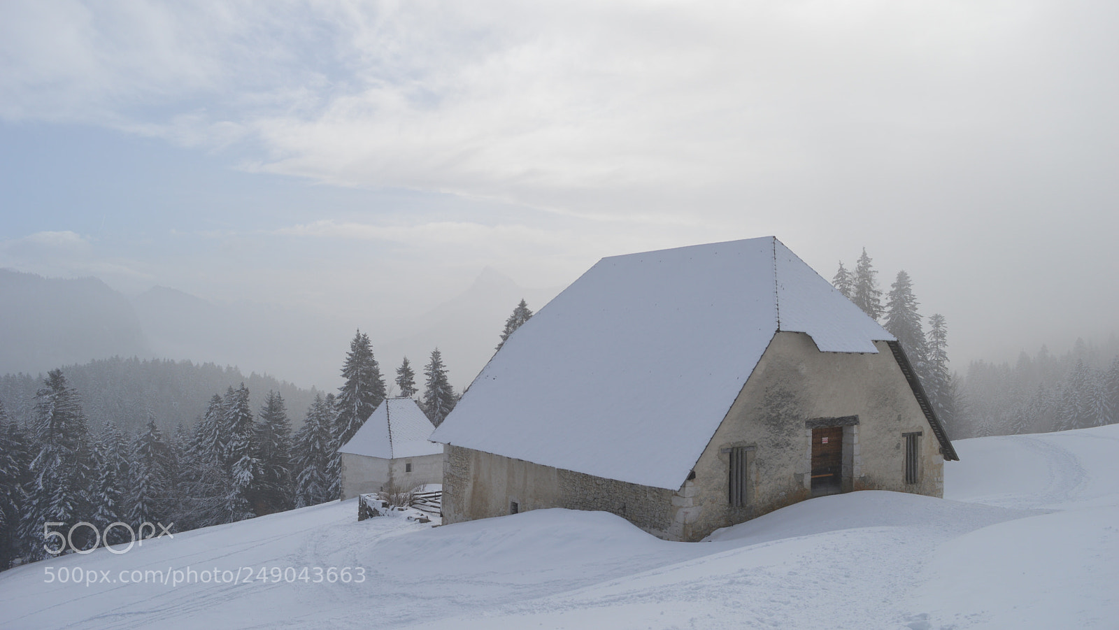 Nikon D3200 sample photo. 170.jpg photography