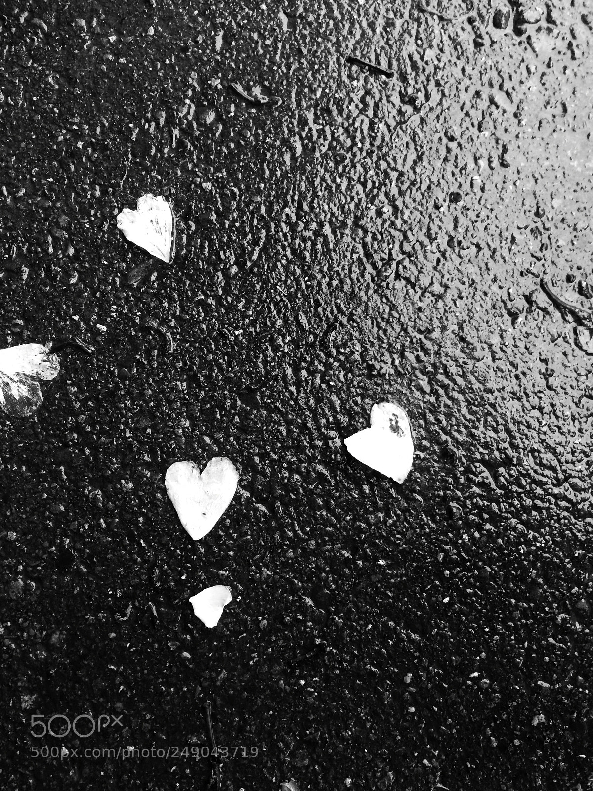 Apple iPhone 5s sample photo. Untitled photography