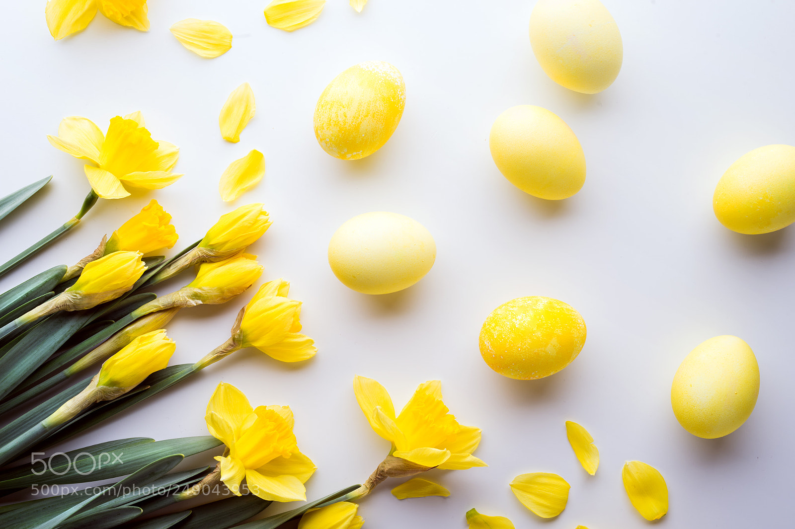 Nikon D4S sample photo. Easter and spring flat photography