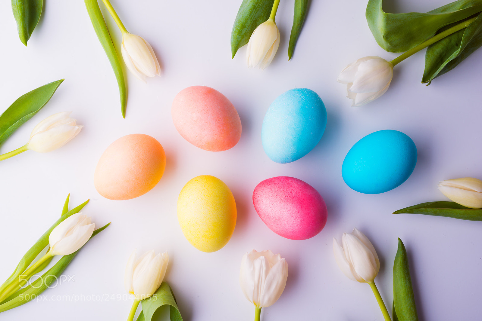 Nikon D800 sample photo. Easter and spring flat photography