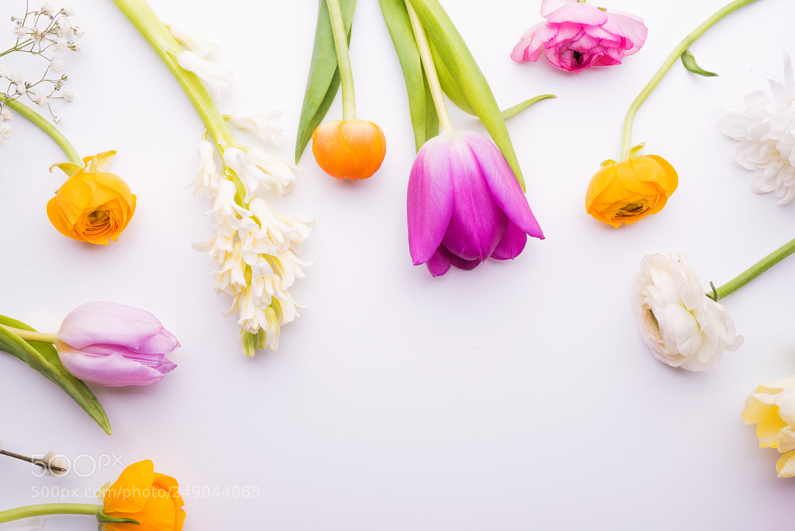 Nikon D800 sample photo. Easter and spring flat photography