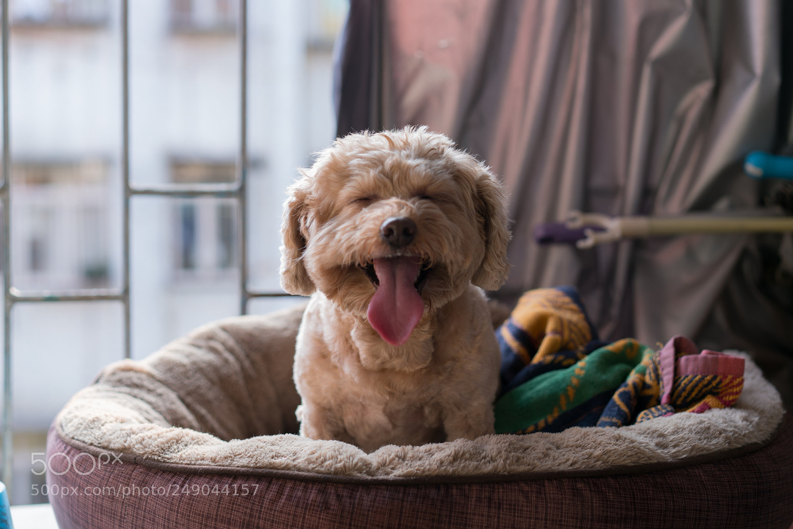 Sony a7R II sample photo. Dongdong photography