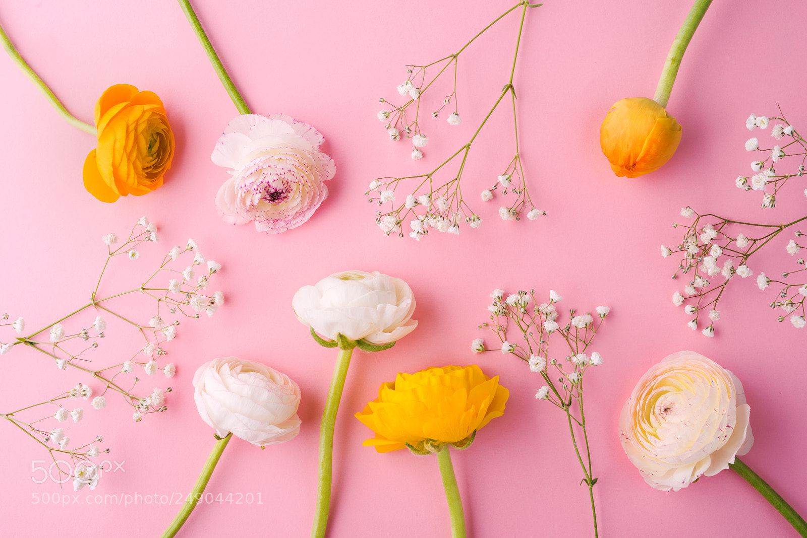 Nikon D800 sample photo. Easter and spring flat photography