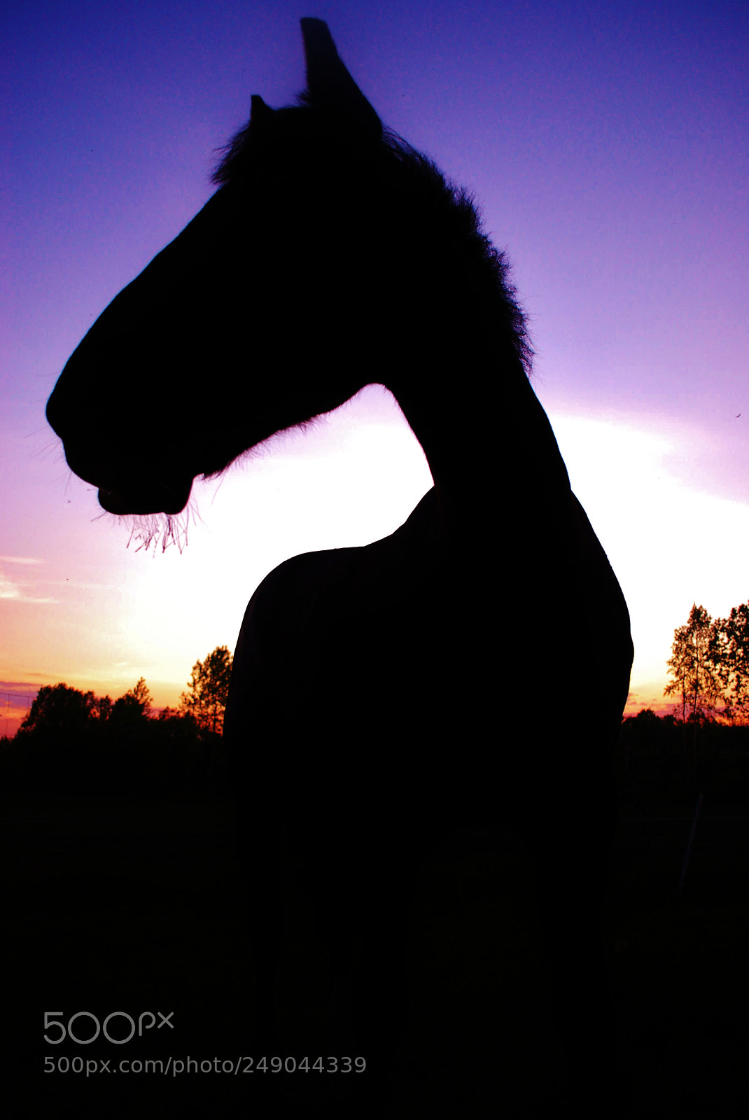 Nikon D60 sample photo. In time photography