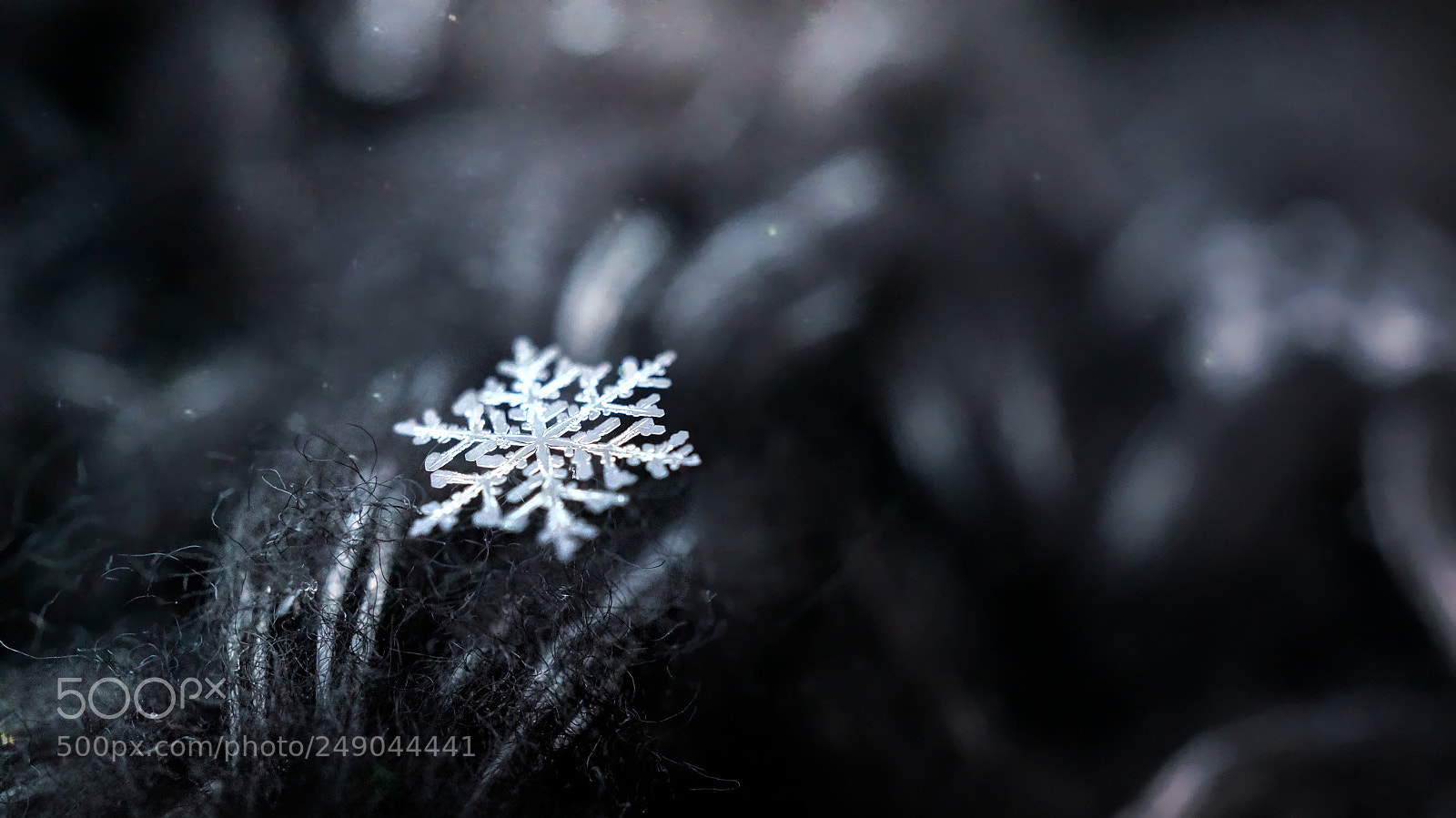 Sony Alpha NEX-5R sample photo. Снежинка | snowflake photography