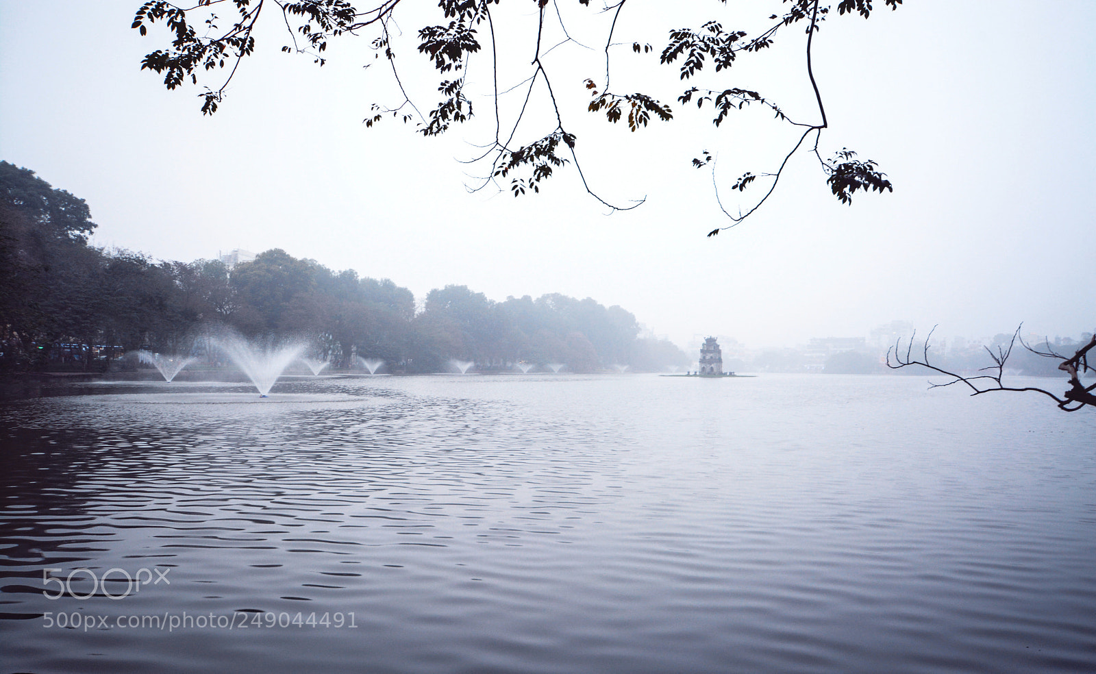 Nikon D7100 sample photo. Untitled photography