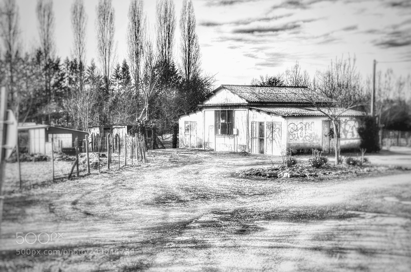 Pentax K-50 sample photo. Untitled photography