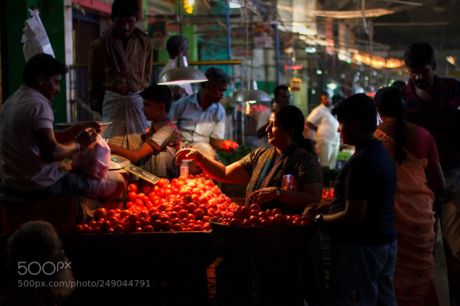 Canon EOS 550D (EOS Rebel T2i / EOS Kiss X4) sample photo. Tomatoes everywhere.. photography