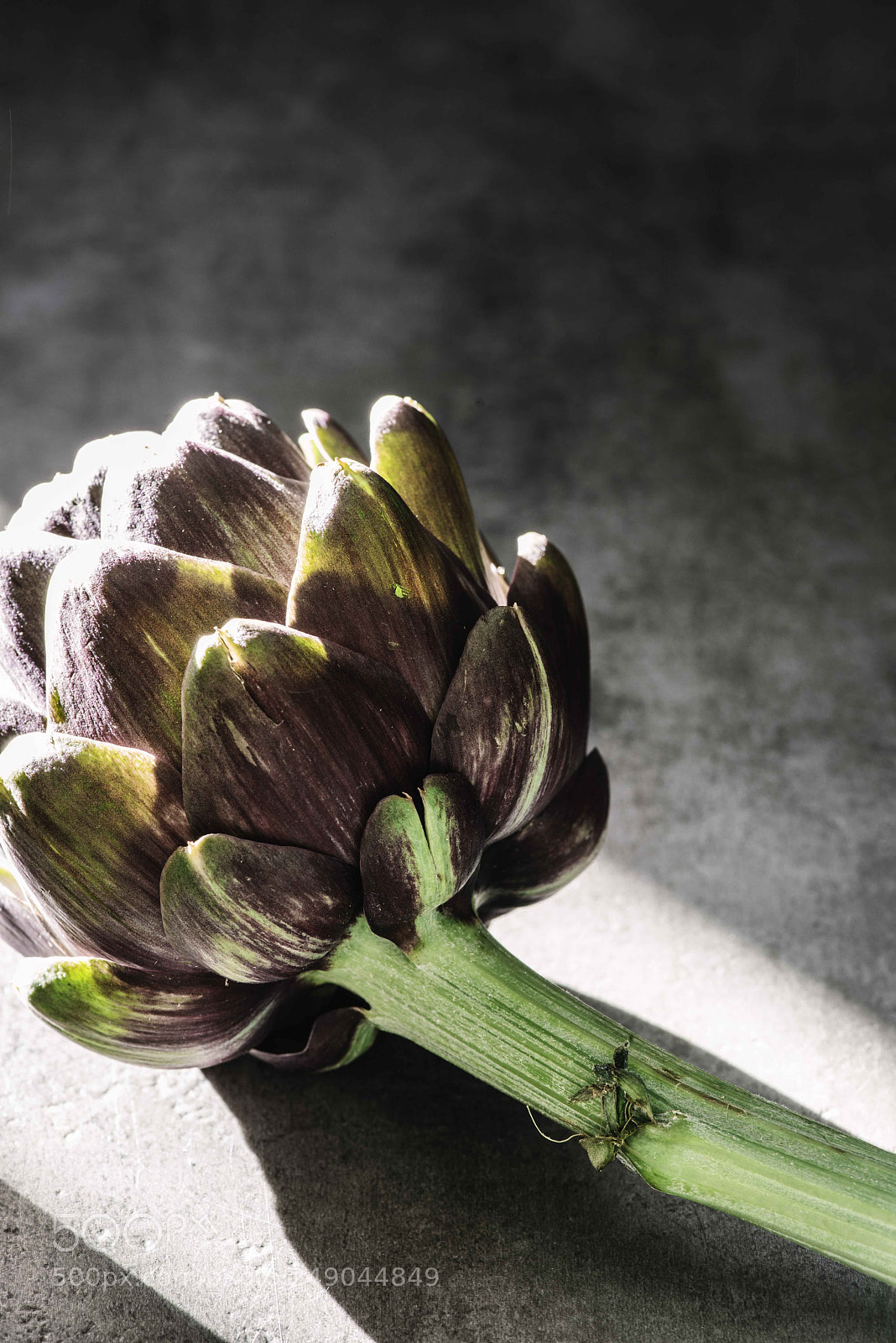 Nikon D800 sample photo. Artichoke photography