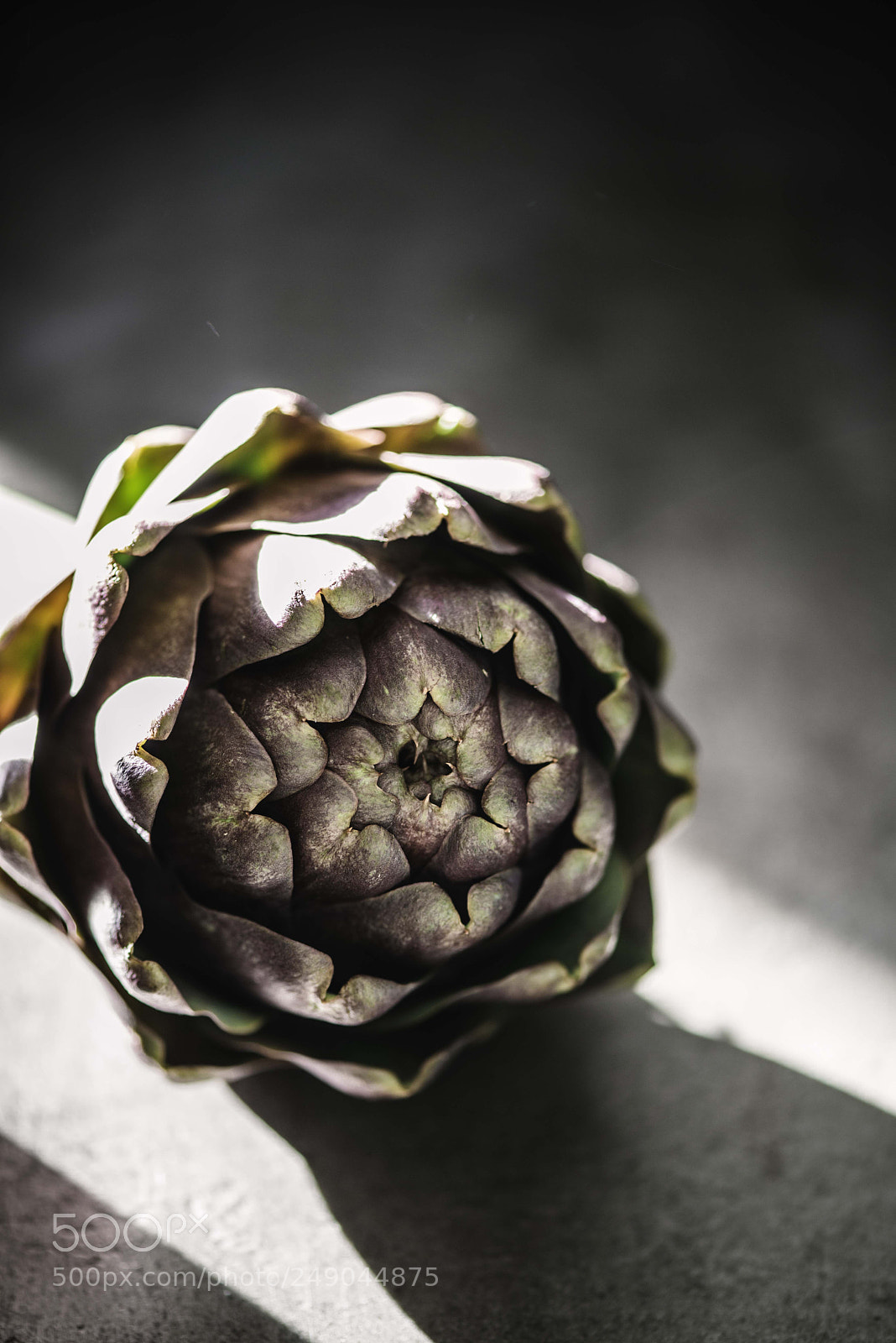 Nikon D800 sample photo. Artichoke photography