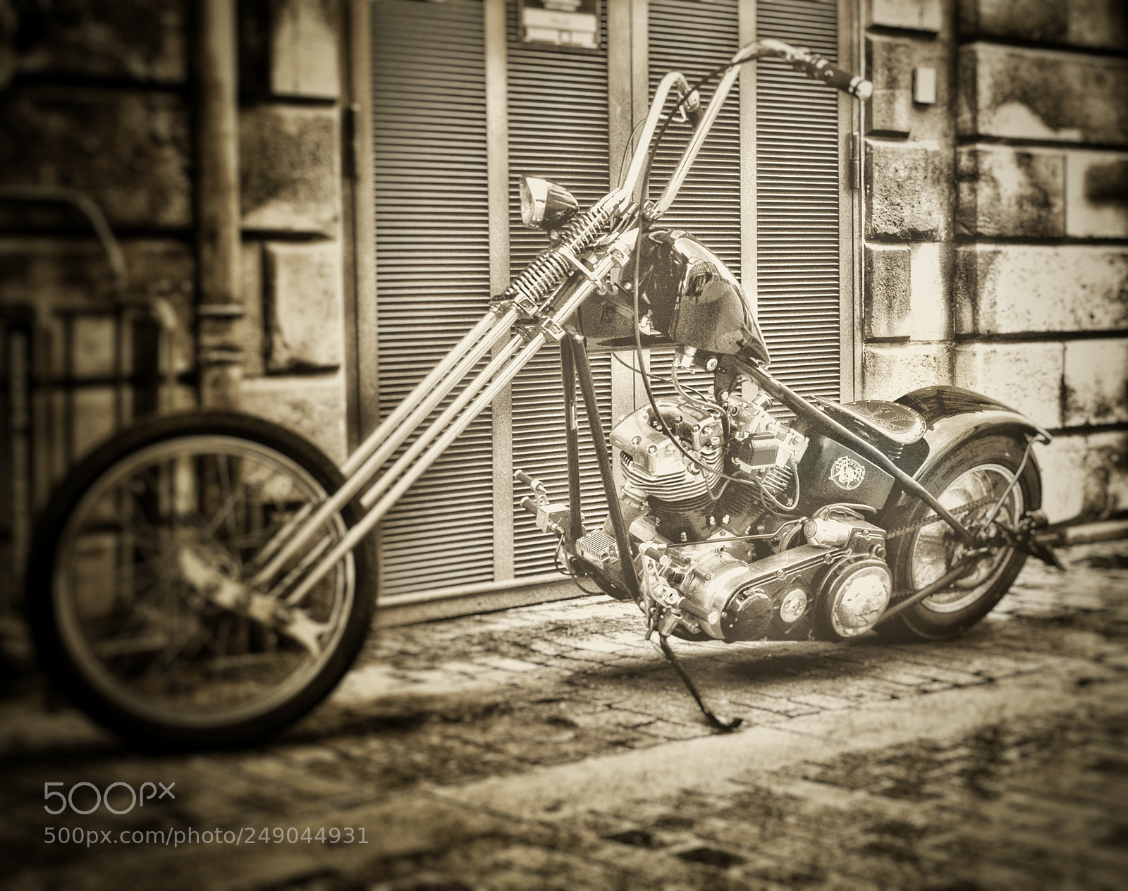 Pentax K-50 sample photo. Untitled photography