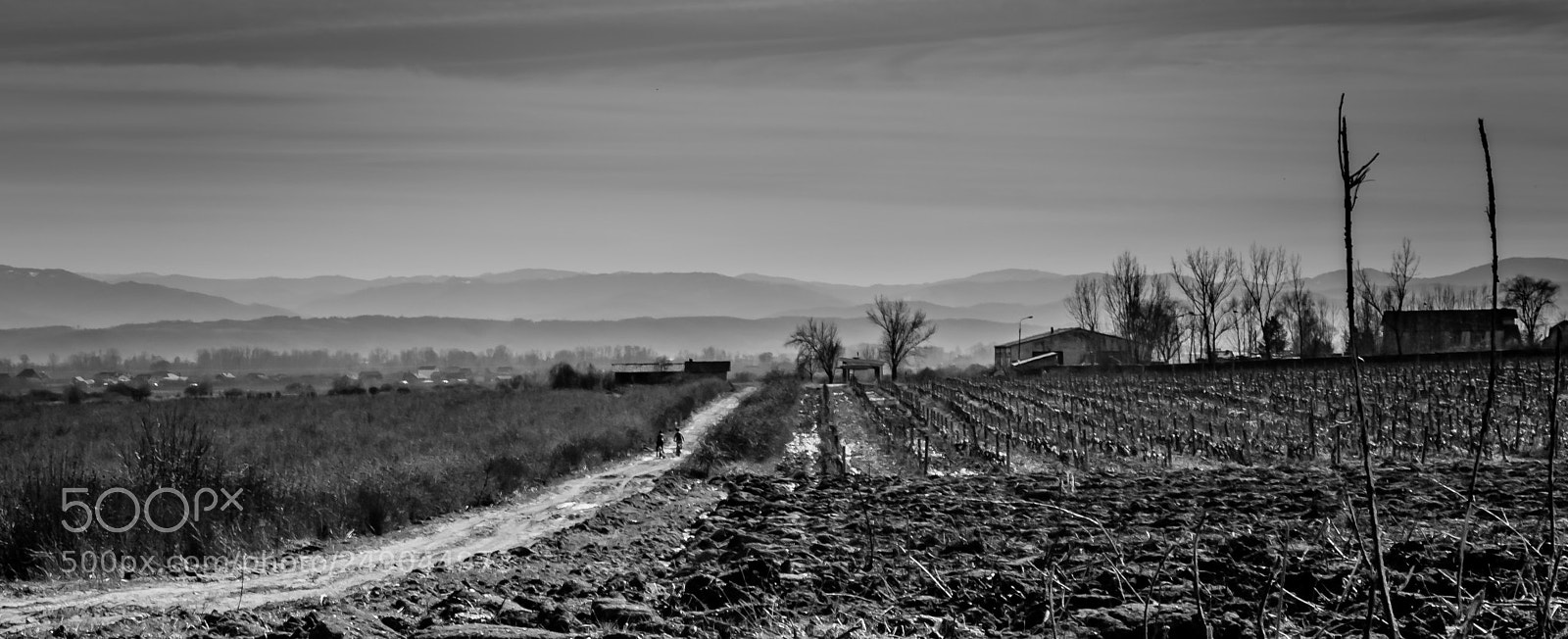 Nikon D5300 sample photo. The lonely road photography