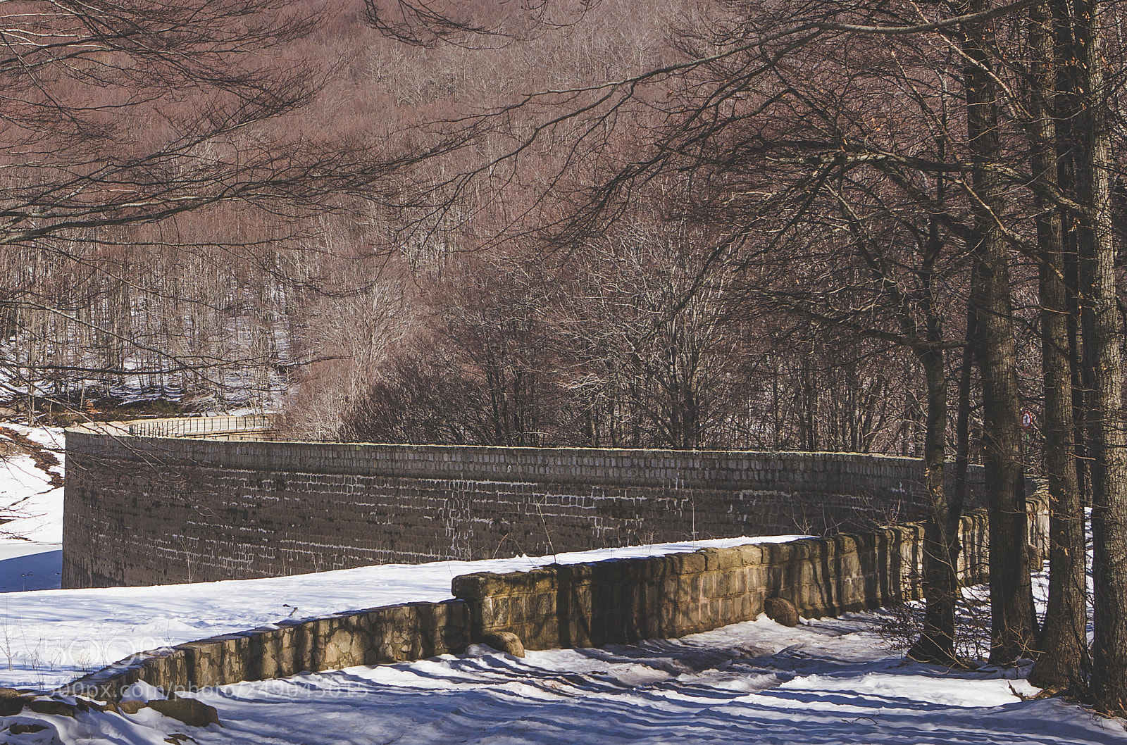 Canon EOS 60D sample photo. Montseny photography