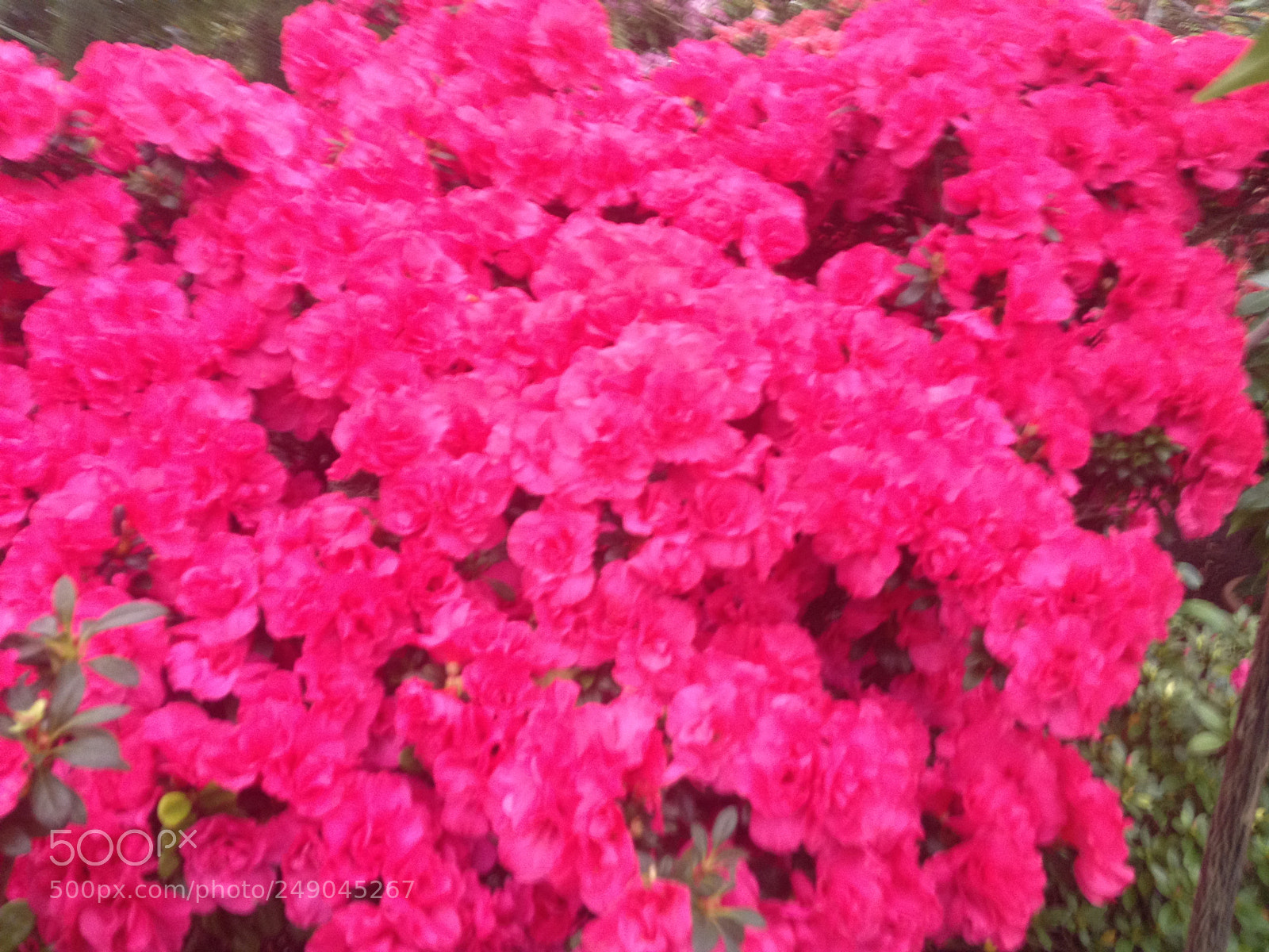 Apple iPhone 4S sample photo. Untitled photography
